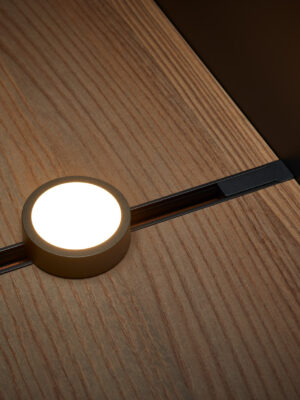 Titania Calisto Spotlight